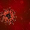 武漢（Wuhan）の新型コロナウイルス（2019-nCoV）のリスクオフはいつがピークか？