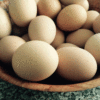 卵は1つのカゴに盛るな　分散投資で安全運用！